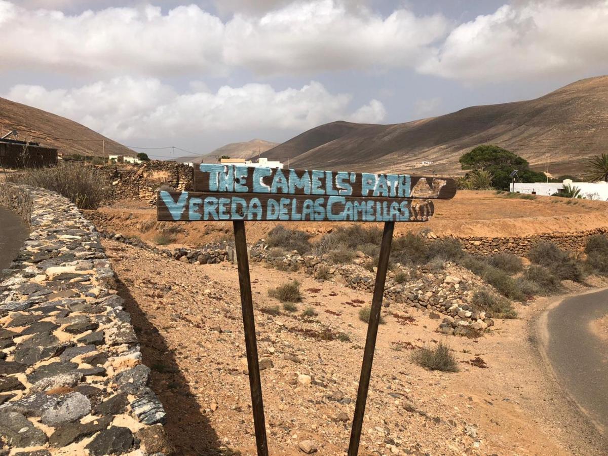 Hotel Vereda De Las Camellas Puerto del Rosario  Exteriér fotografie